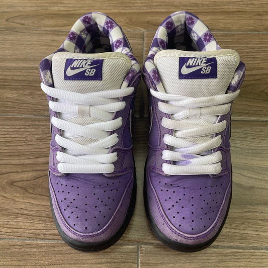 Nike SB Dunk Low Concepts Purple Lobster Size 5